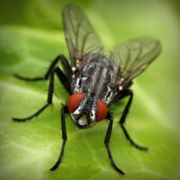 /album/biolampa-bioptron-by-zepter-/photolia-a01-jpg/