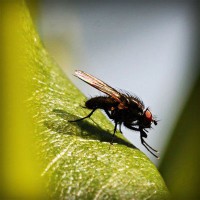 /album/biolampa-bioptron-by-zepter-/photolia-a04-jpg/