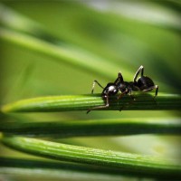 /album/biolampa-bioptron-by-zepter-/photolia-a05-jpg/