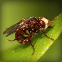 /album/biolampa-bioptron-by-zepter-/photolia-a06-jpg/