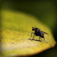 /album/biolampa-bioptron-by-zepter-/photolia-a07-jpg/